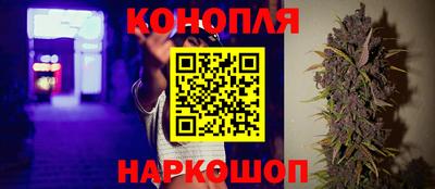 сатива Кулебаки