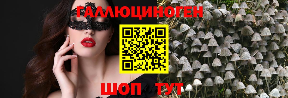 Галлюциногенные грибы прущие грибы  Вход с VPN  Иркутск 