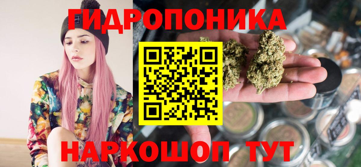 Шишки марихуана гибрид  Вход с VPN  Бошки Шишки планчик  Шишки марихуана Bruce Banner  Иркутск 